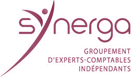 Logo Synerga